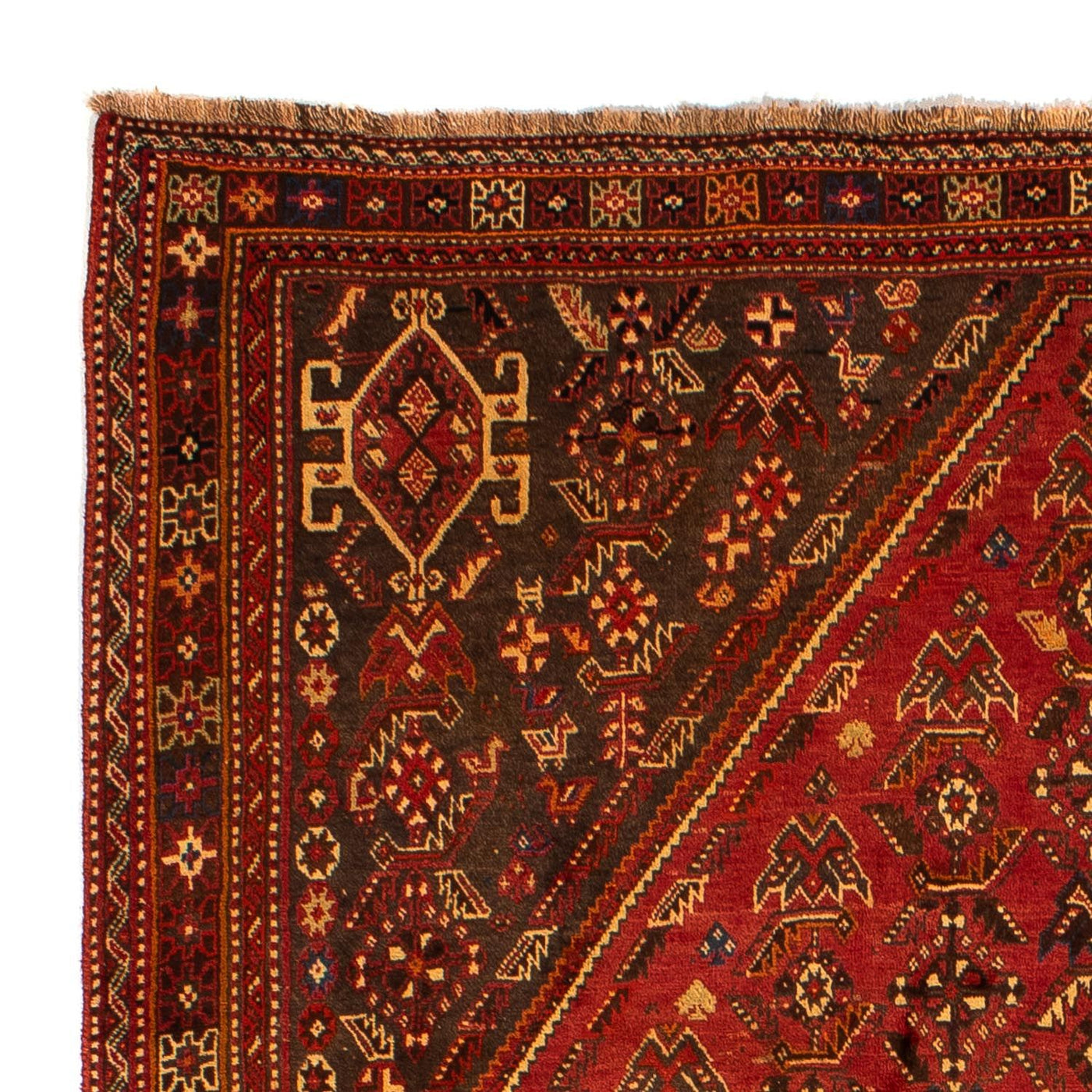 Shiraz Teppe 277x181cm - Persisk teppe