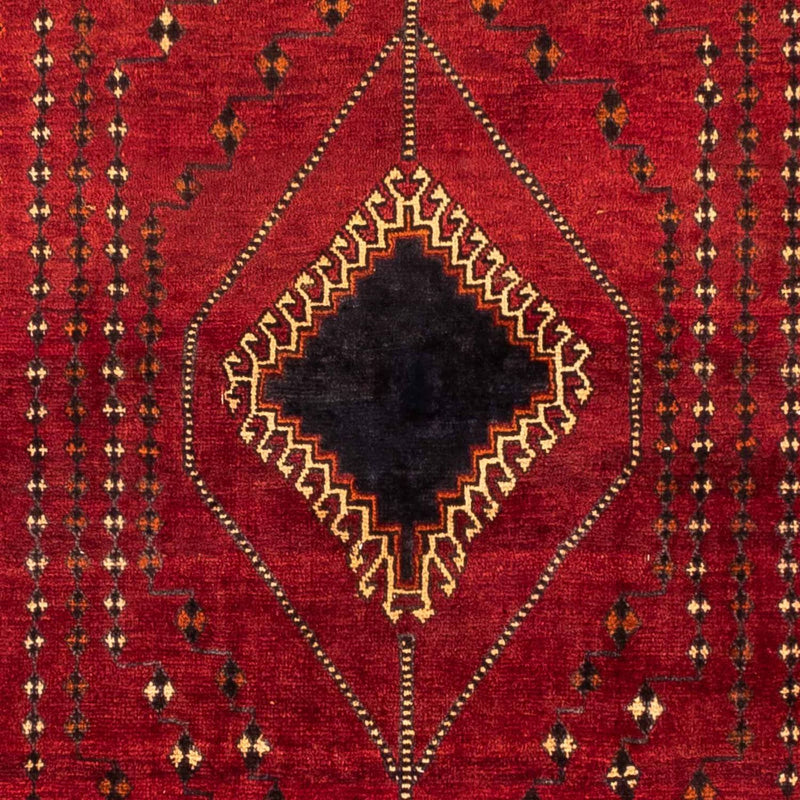 Shiraz Teppe 257x157cm - Persisk teppe