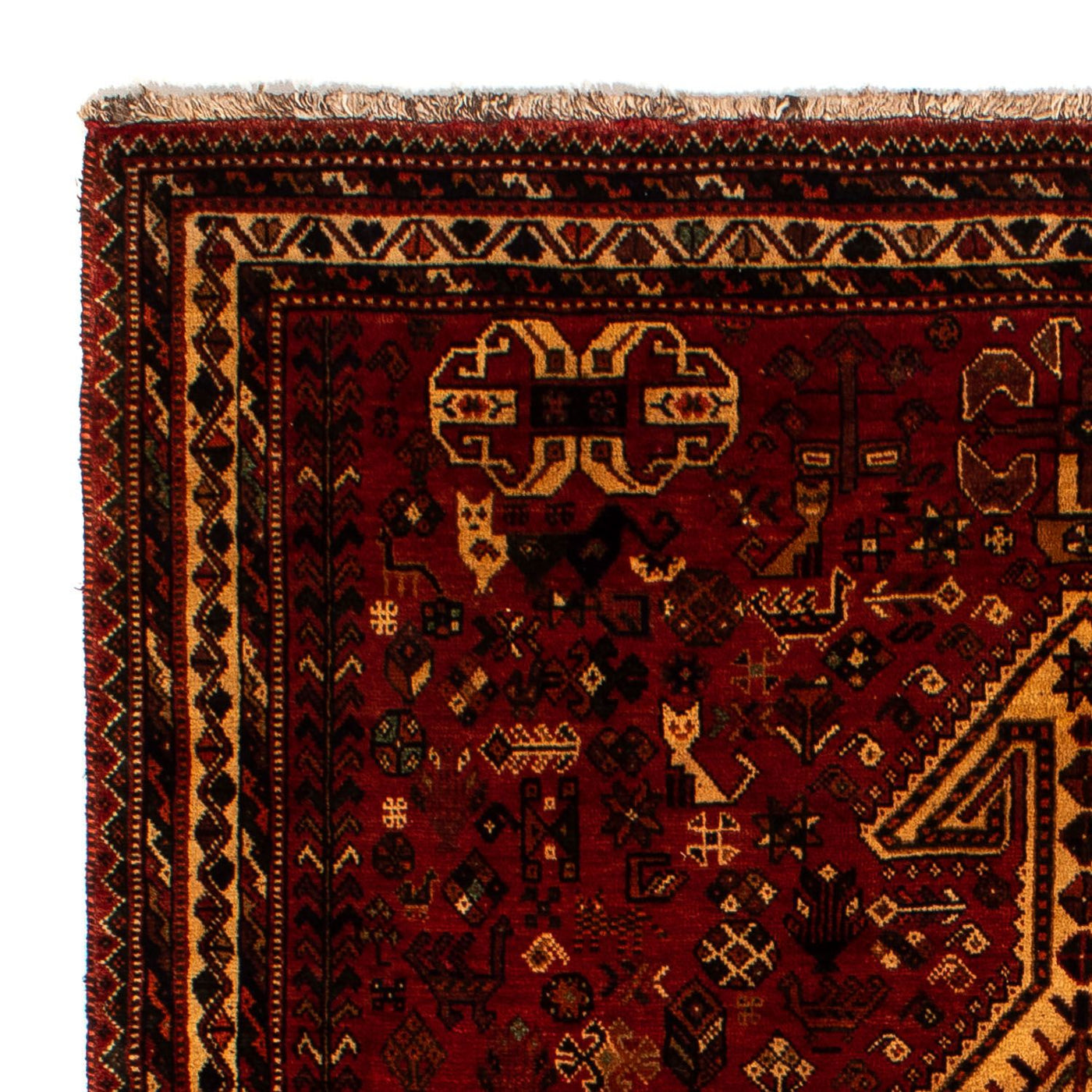 Shiraz Teppe 298x178cm - Persisk teppe