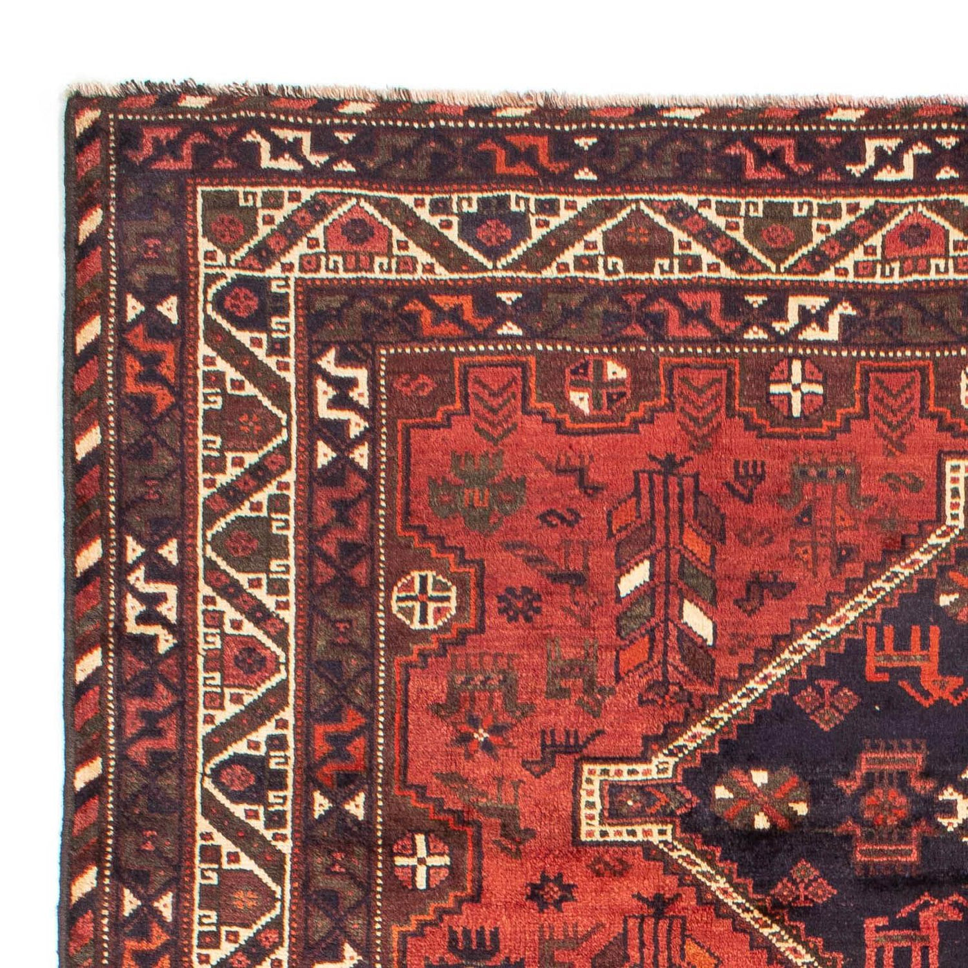 Shiraz Teppe 312x221cm - Persisk teppe
