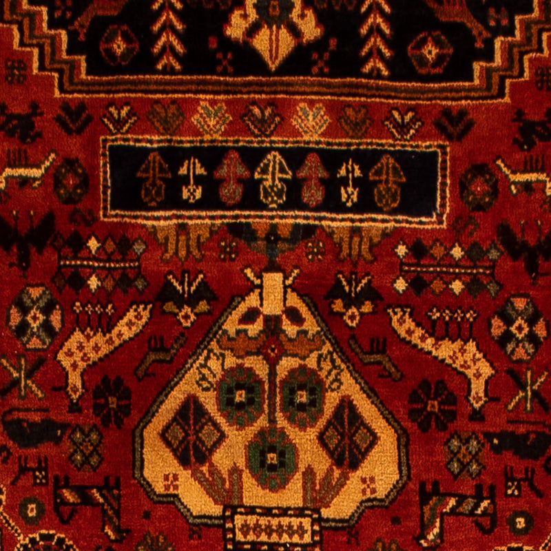 Shiraz Teppe 304x204cm - Persisk teppe
