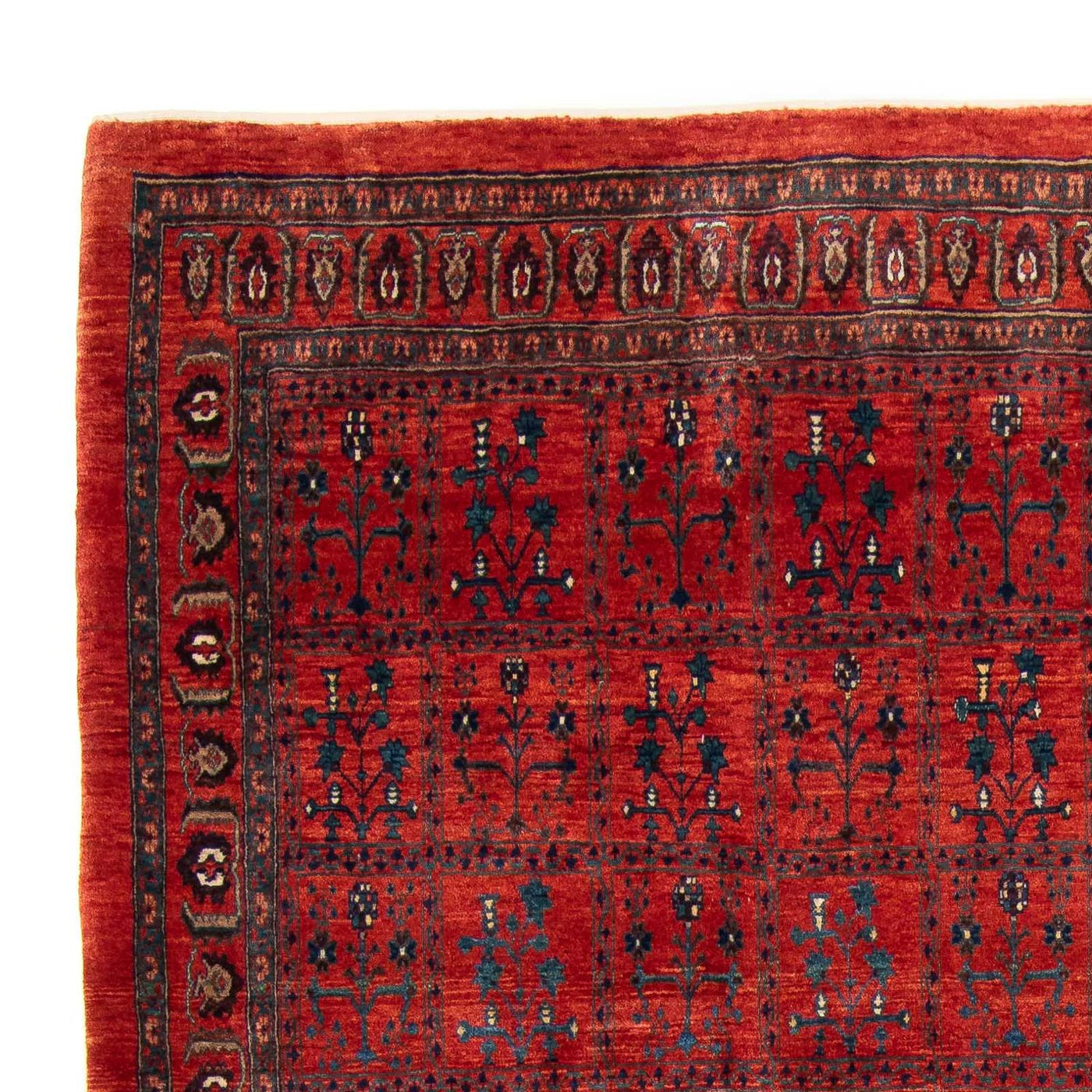 Kashkuli Teppe 345x260cm - Persisk teppe