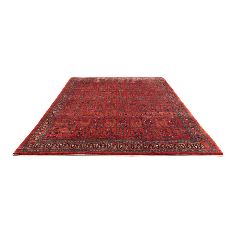 Kashkuli Teppe 345x260cm - Persisk teppe