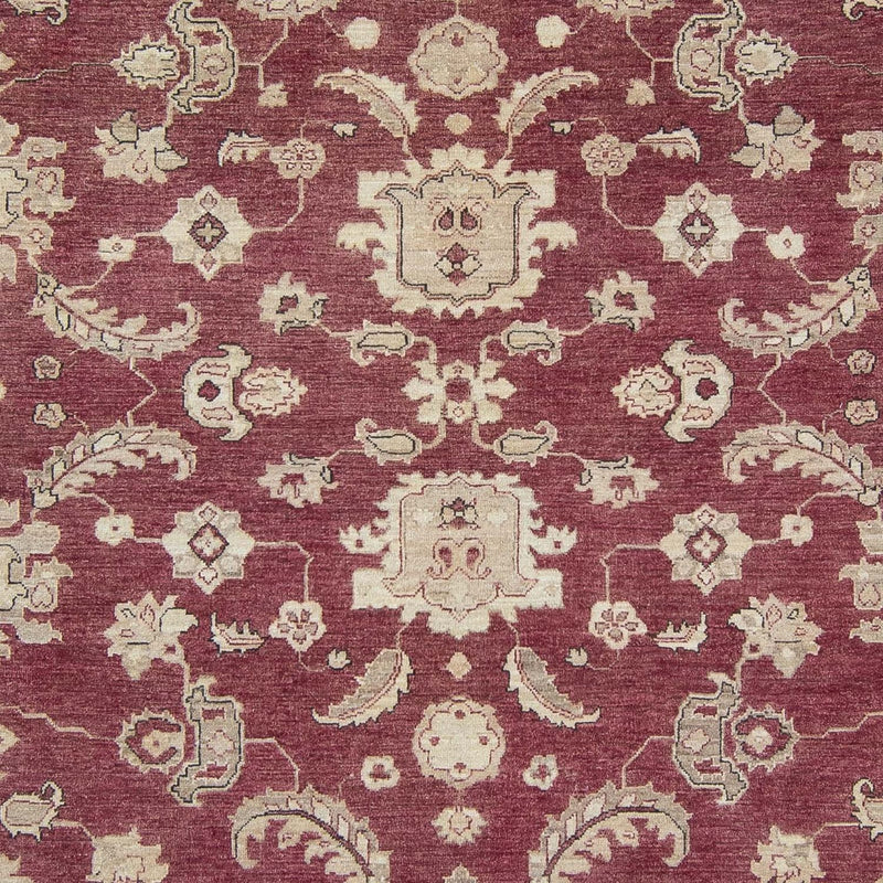 Ziegler Teppe 262x345cm - Orientalsk teppe