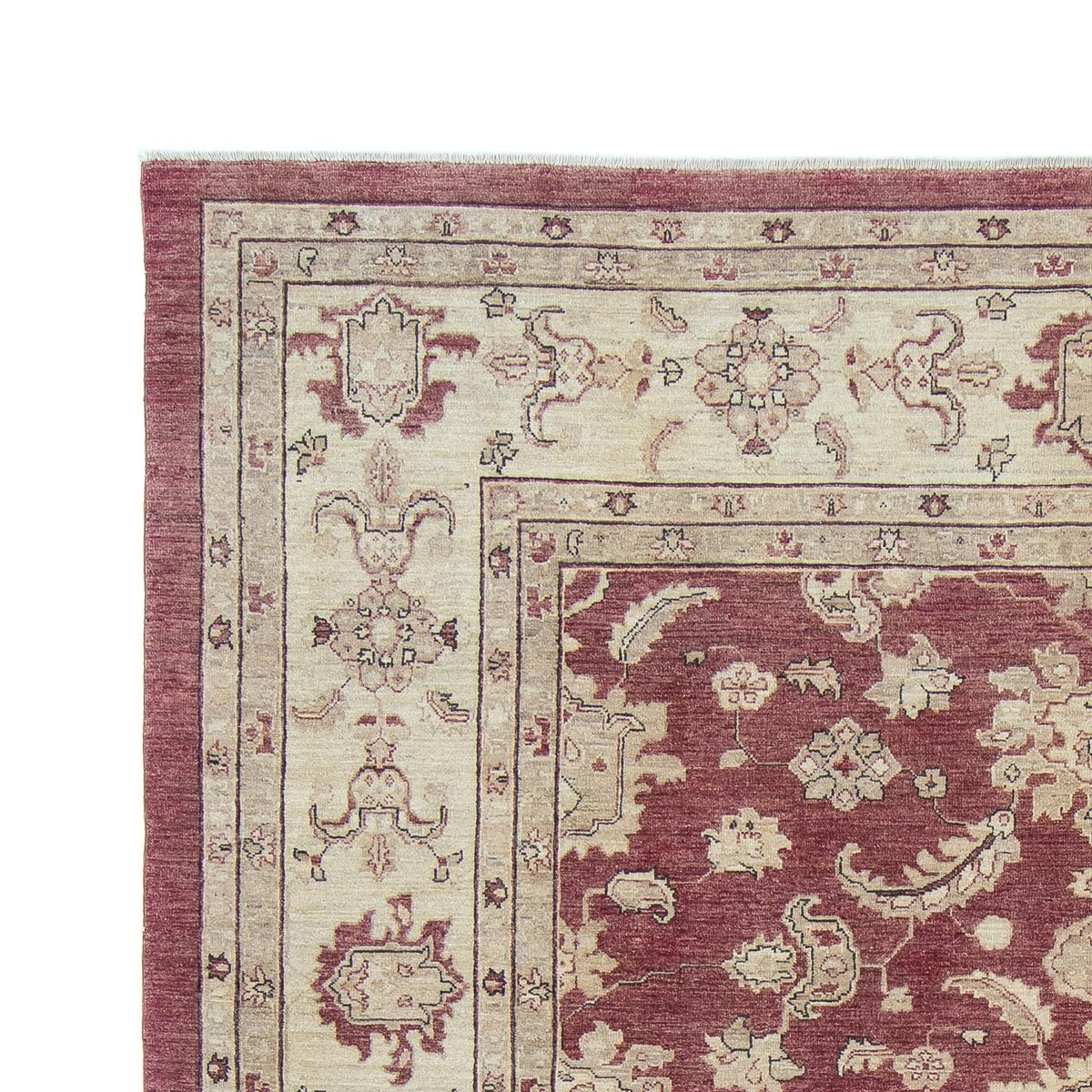 Ziegler Teppe 262x345cm - Orientalsk teppe
