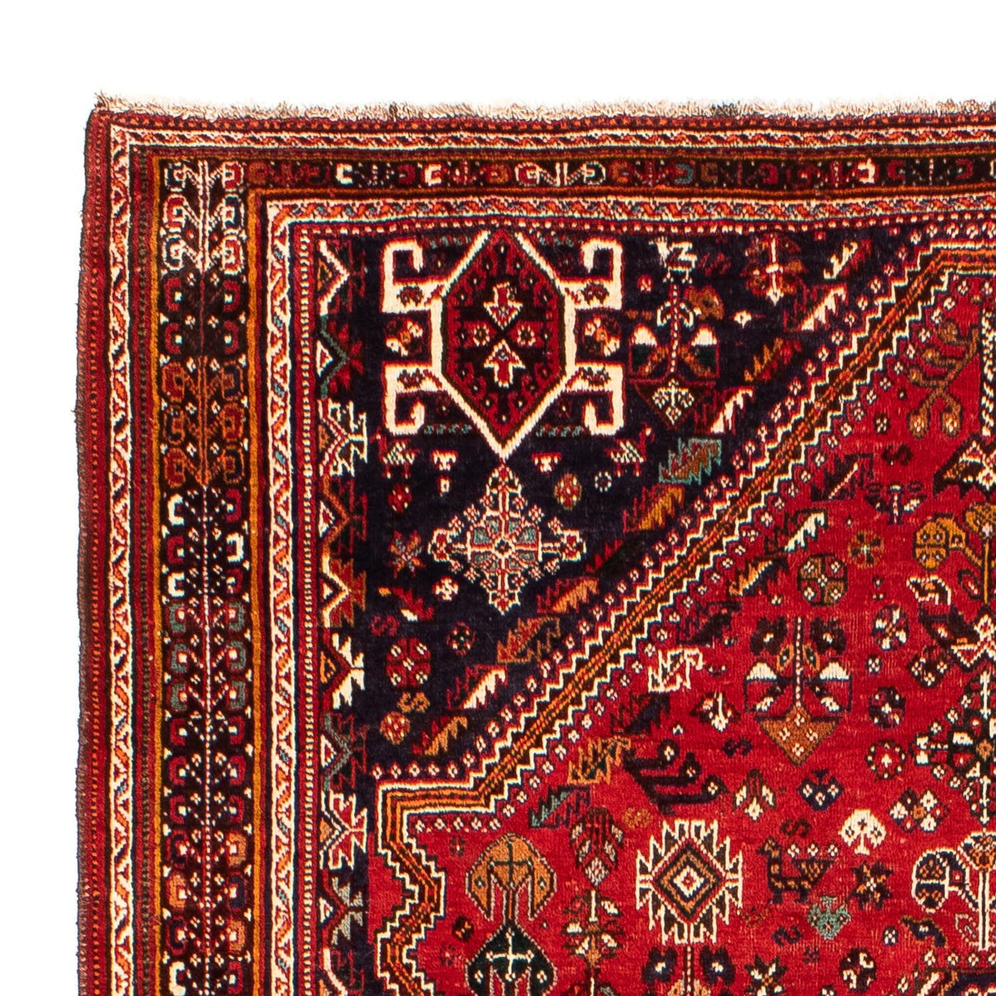 Shiraz Teppe 298x189cm - Persisk teppe