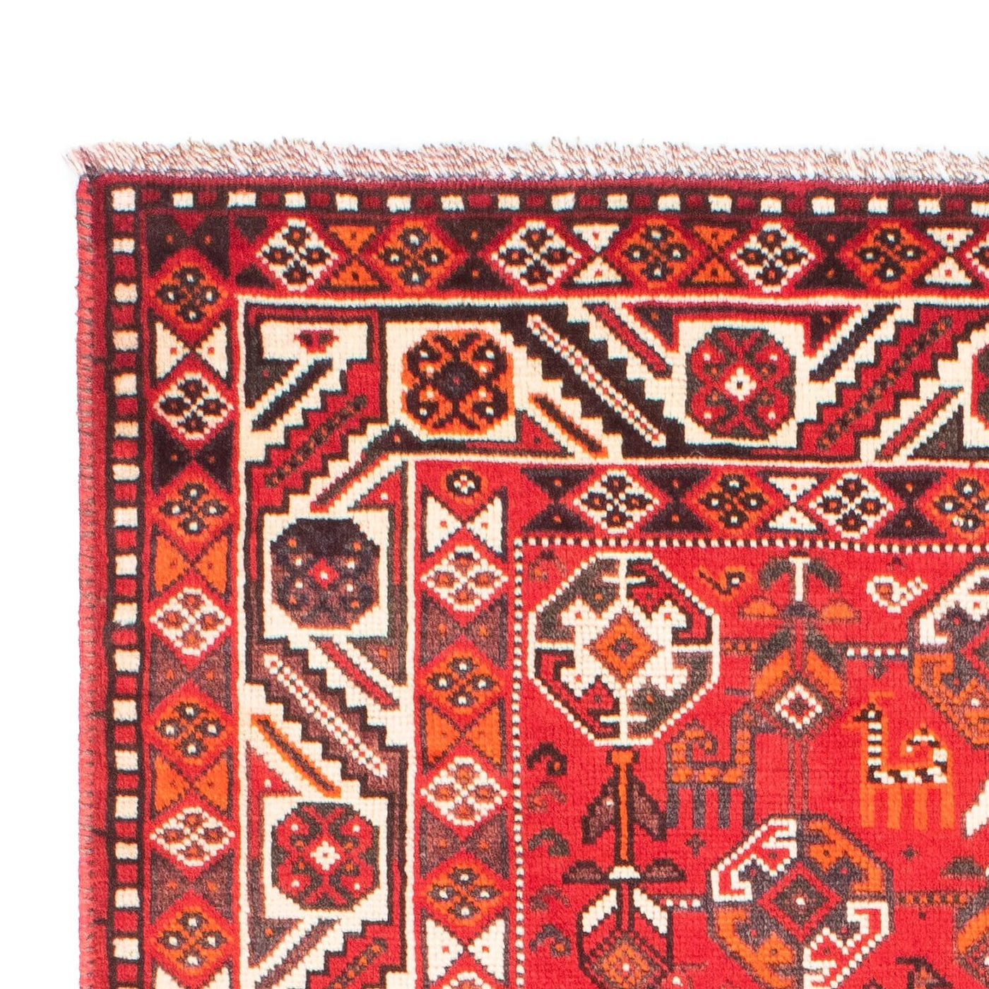 Shiraz Teppe 159x110cm - Persisk teppe