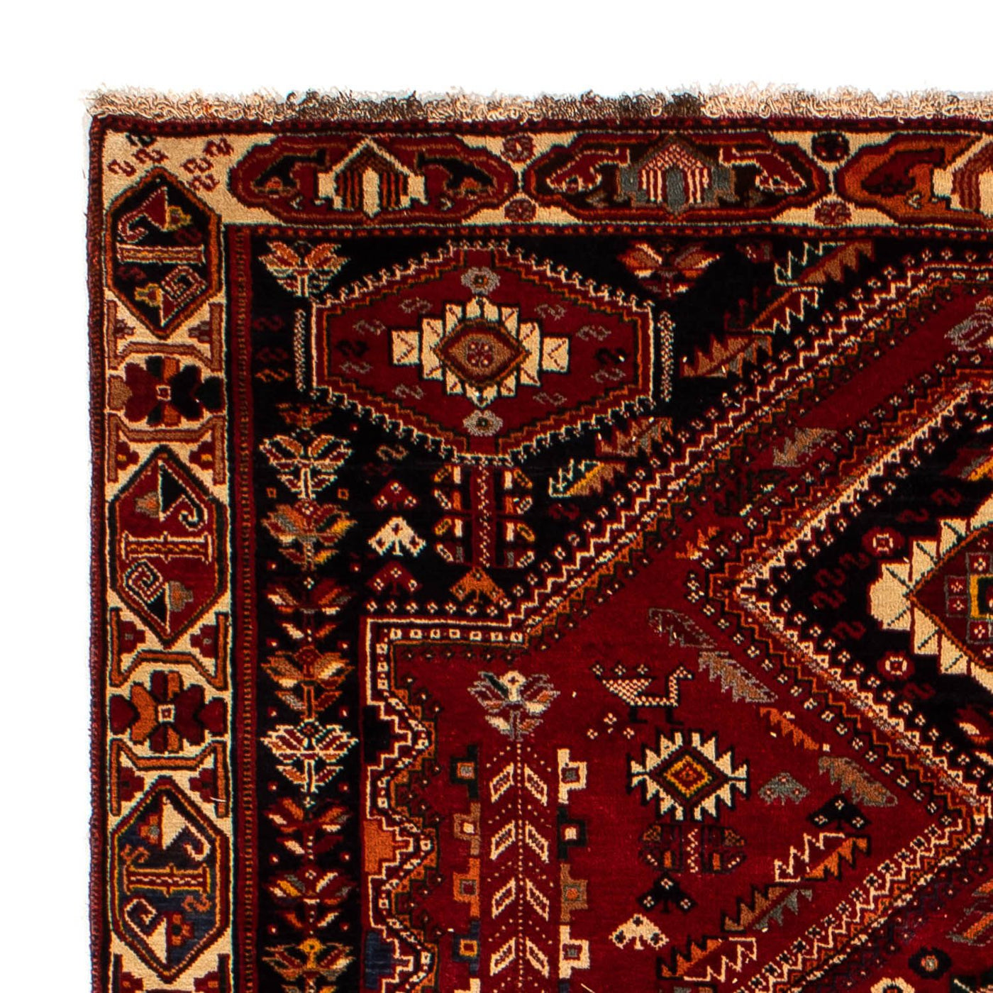 Shiraz Teppe 290x182cm - Persisk teppe