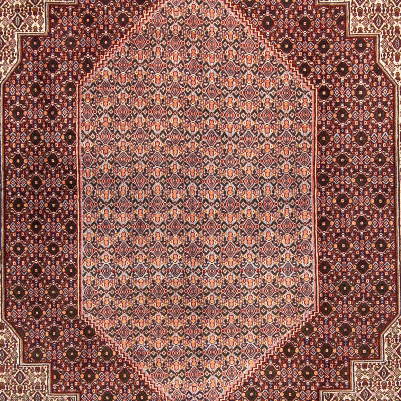 Senneh Teppe 340x254cm - Persisk teppe