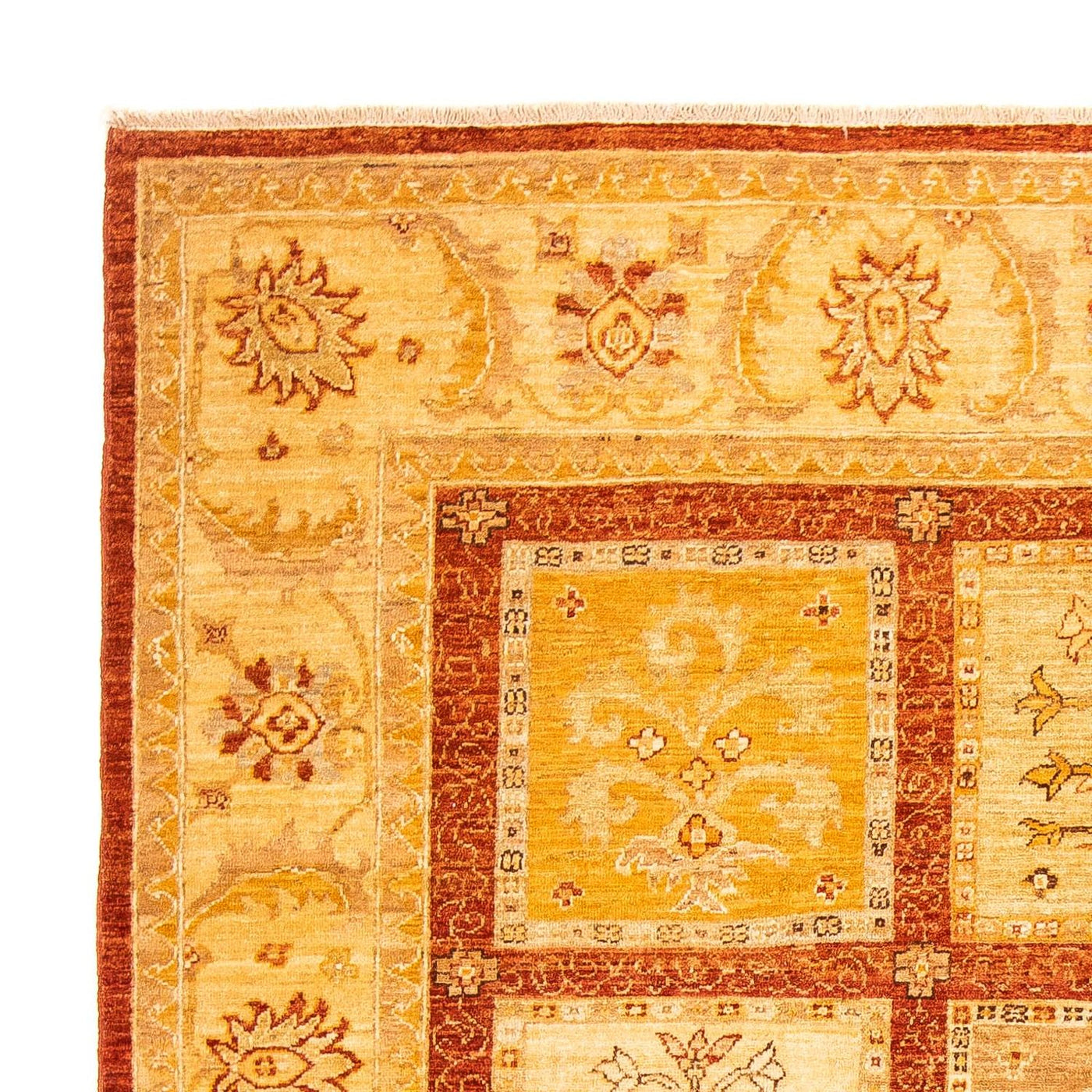 Ziegler Teppe 249x191cm - Orientalsk teppe