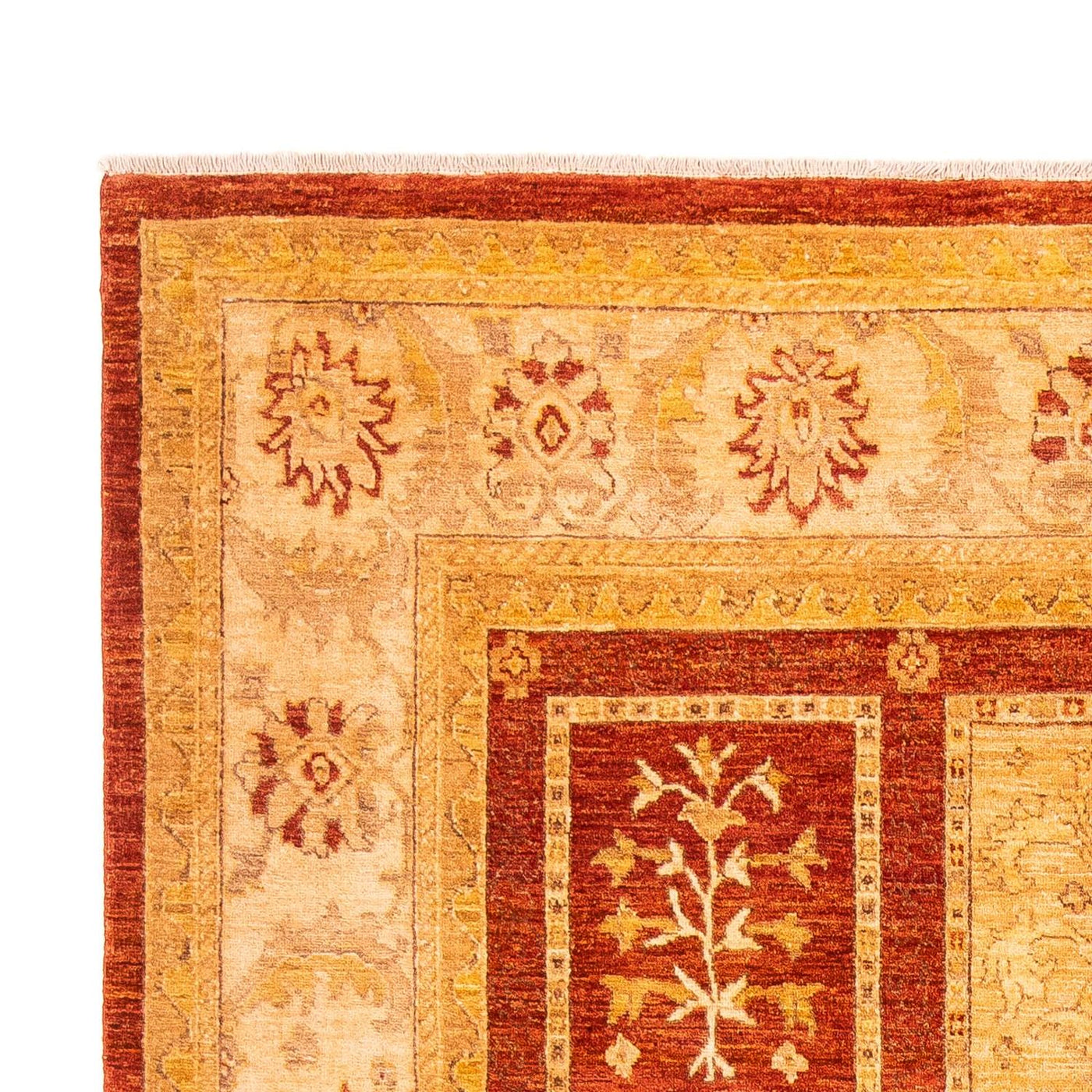 Ziegler Teppe 252x197cm - Orientalsk teppe