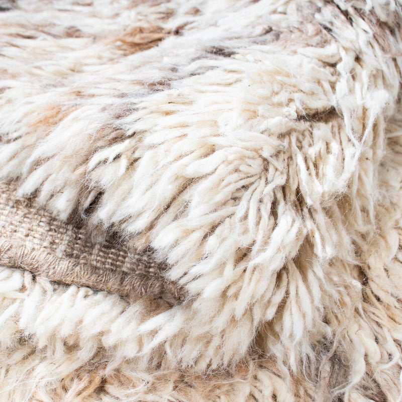 Shaggy Teppe 252x172cm - Shaggy Teppich