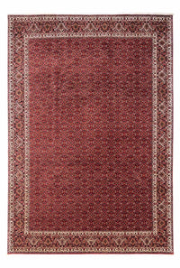 Bidjar - Takab Teppe 253x345cm - Persisk teppe – product image