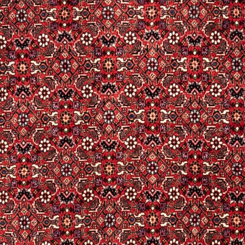 Bidjar - Takab Teppe 345x253cm - Persisk teppe