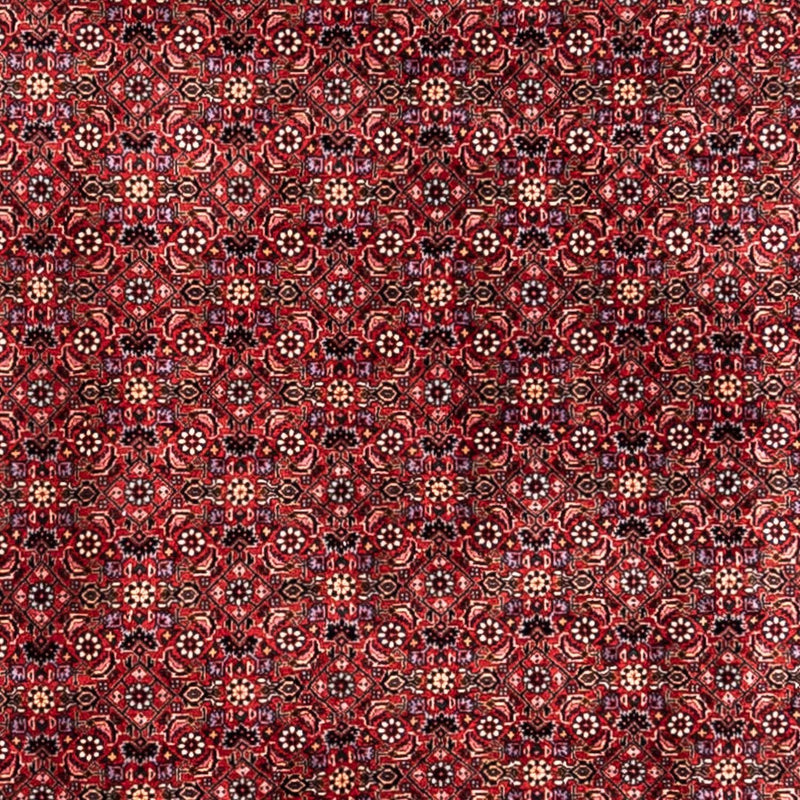 Bidjar - Takab Teppe 338x250cm - Persisk teppe