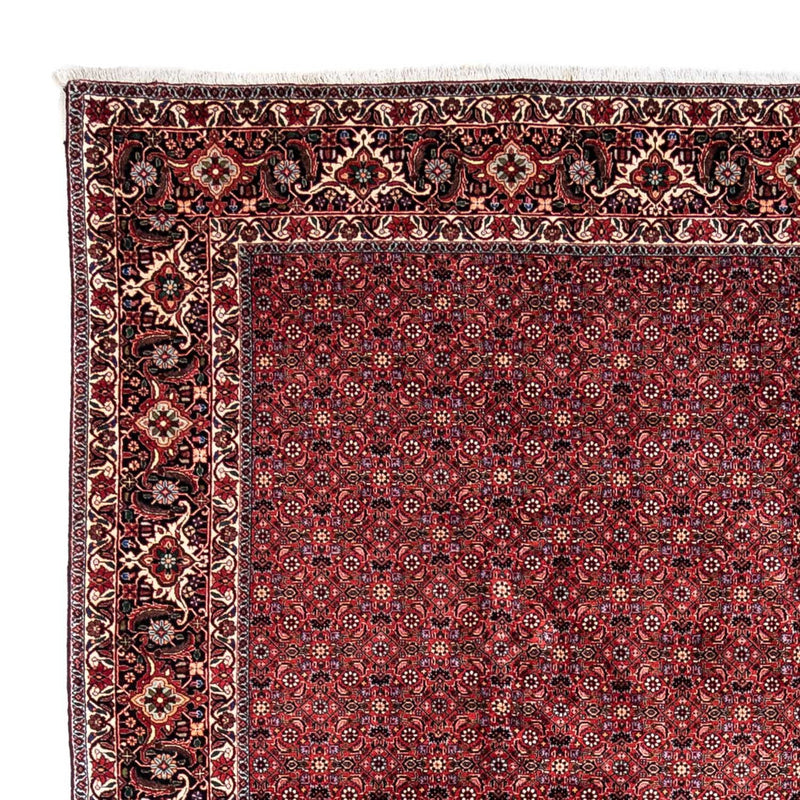 Bidjar - Takab Teppe 338x250cm - Persisk teppe