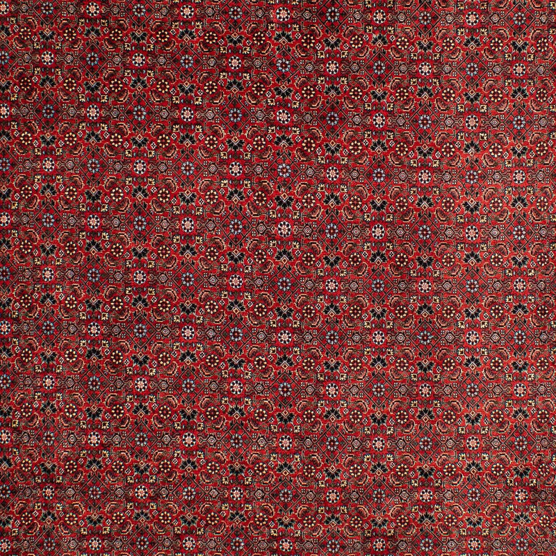 Bidjar Teppe 295x203cm - Persisk teppe