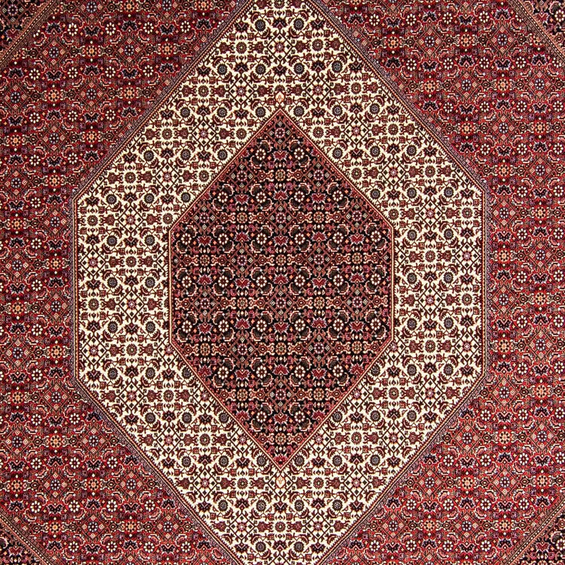 Bidjar Teppe 248x354cm - Persisk teppe