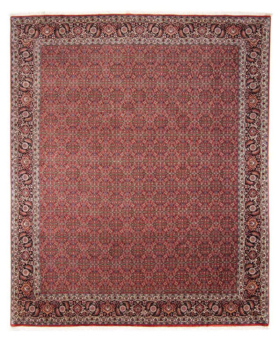 Bidjar Teppe 252x300cm - Persisk teppe - mørk rød
