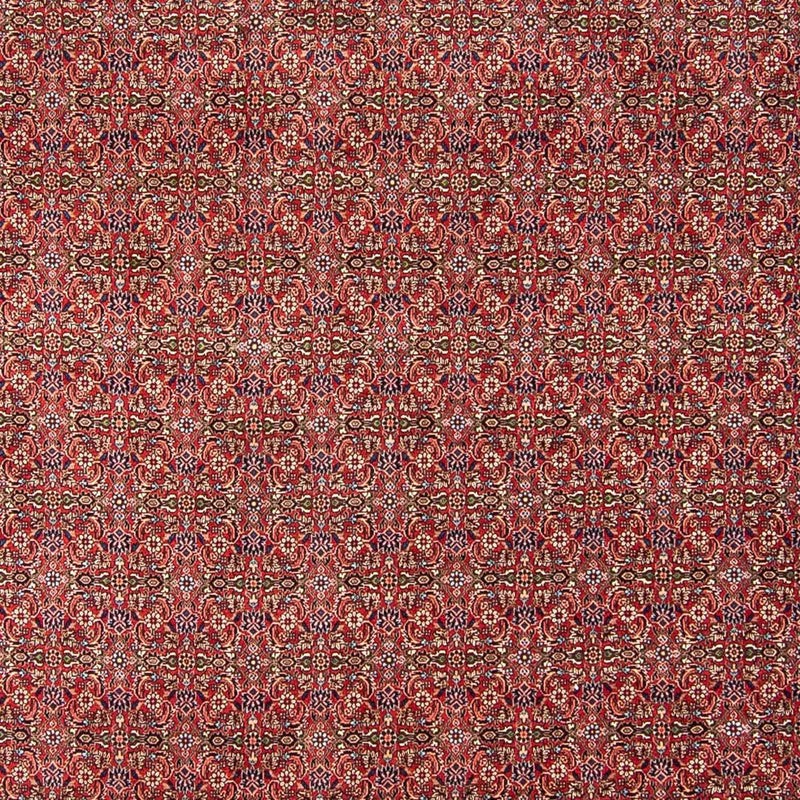 Bidjar Teppe 300x252cm - Persisk teppe