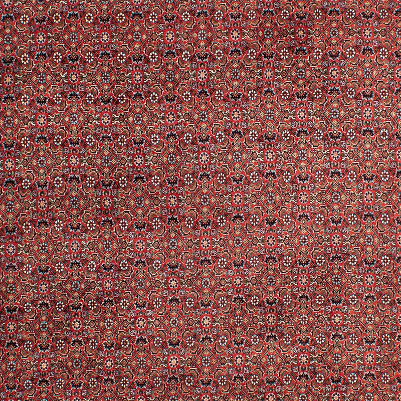 Bidjar Teppe 299x203cm - Persisk teppe
