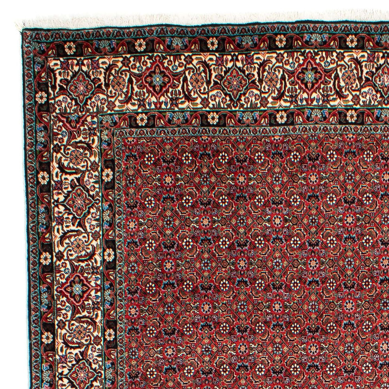 Bidjar Teppe 299x203cm - Persisk teppe
