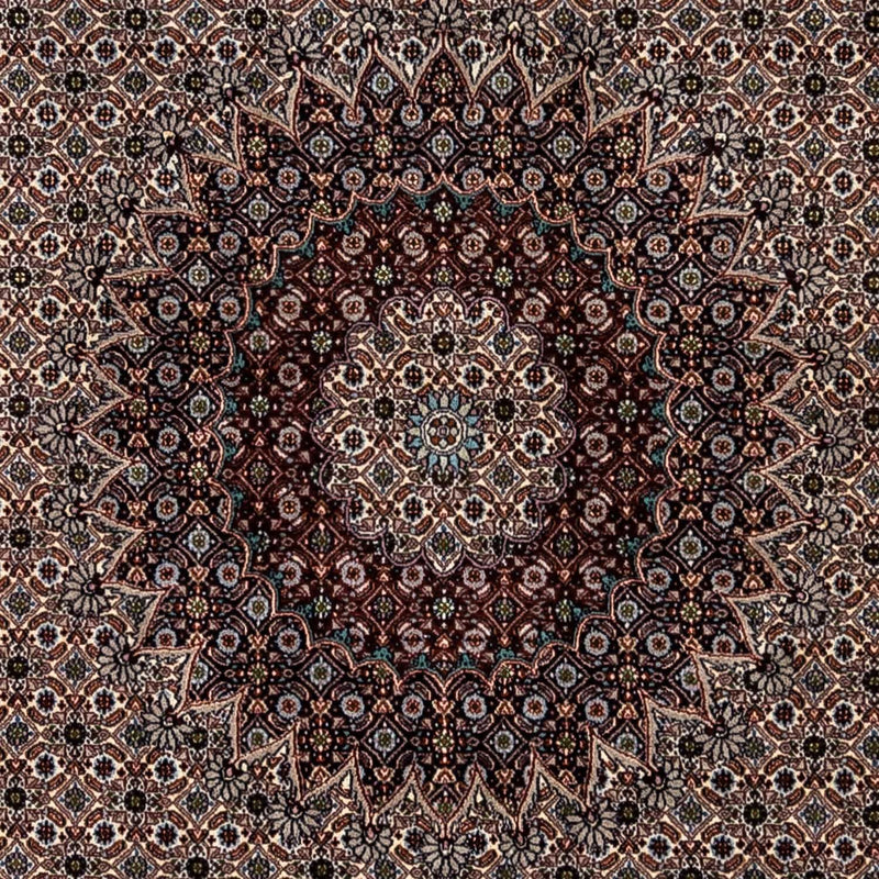Moud Teppe 345x243cm - Persisk teppe