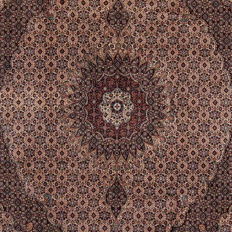 Moud Teppe 305x251cm - Persisk teppe