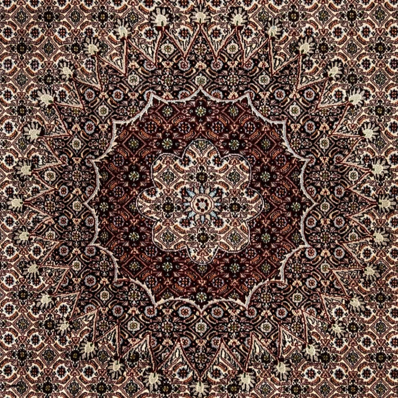 Moud Teppe 328x245cm - Persisk teppe