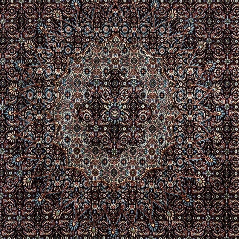 Moud Teppe 250x351cm - Persisk teppe