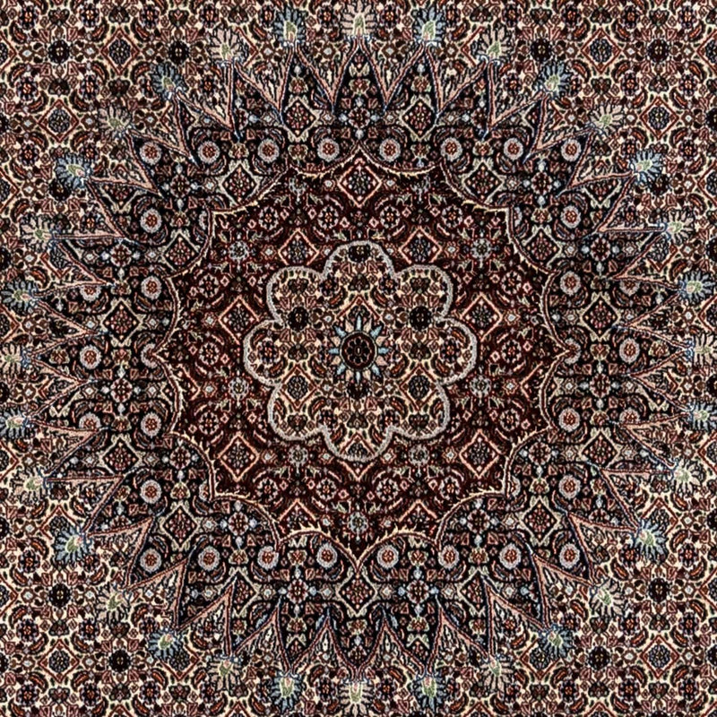 Moud Teppe 246x344cm - Persisk teppe