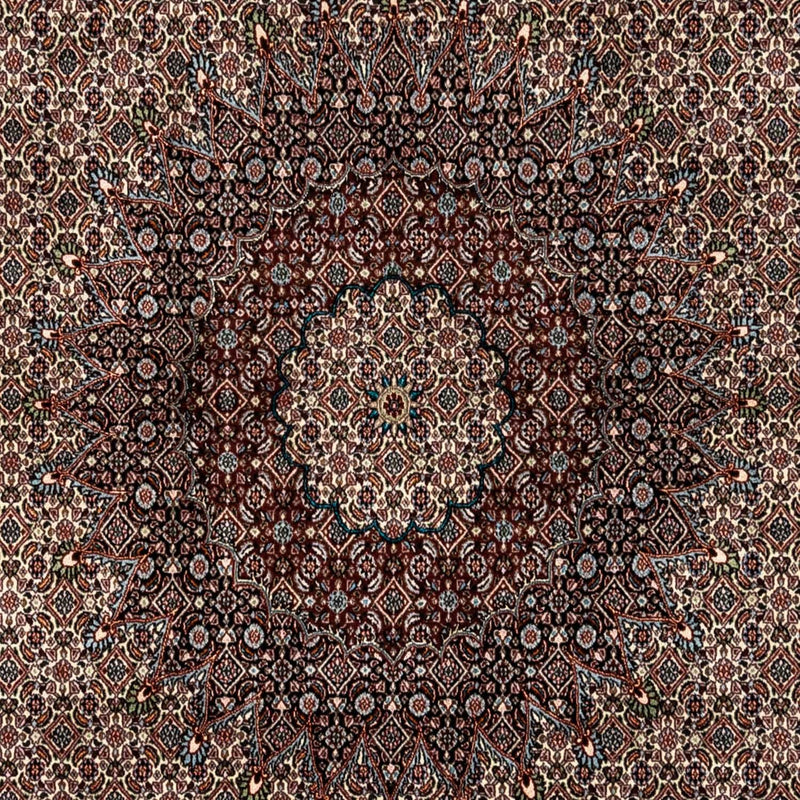Moud Teppe 333x248cm - Persisk teppe