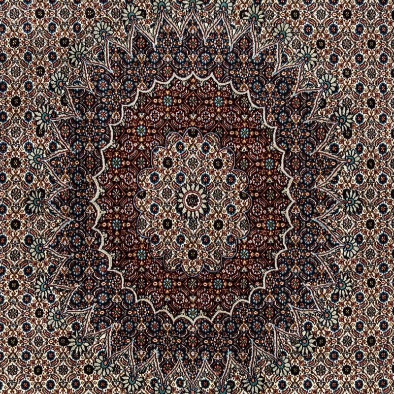 Moud Teppe 243x342cm - Persisk teppe