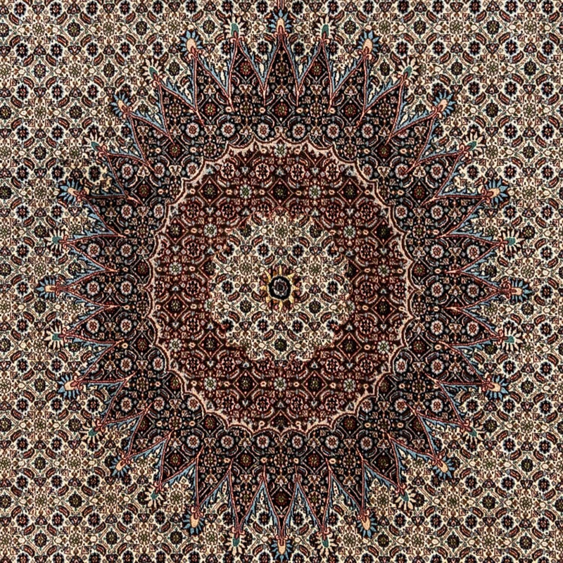 Moud Teppe 244x353cm - Persisk teppe
