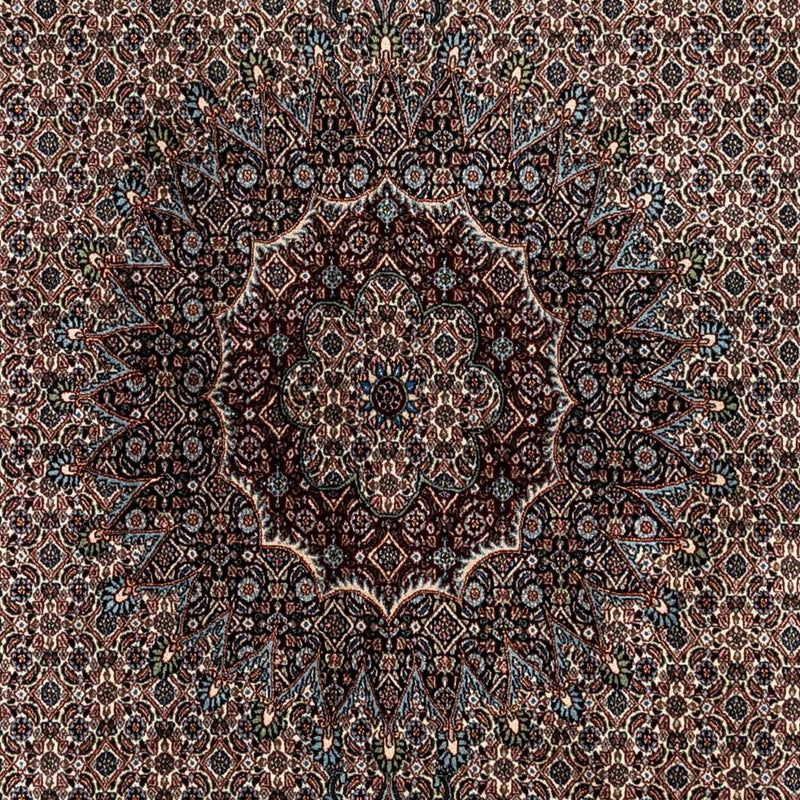 Moud Teppe 346x250cm - Persisk teppe