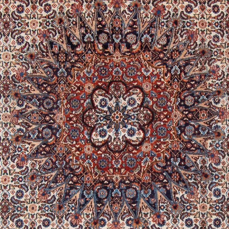 Moud Teppe 298x206cm - Persisk teppe