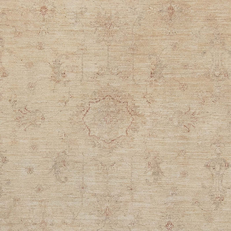 Ziegler Teppe 240x345cm - Orientalsk teppe