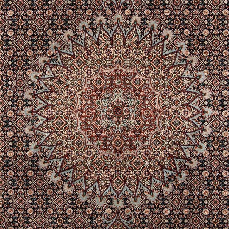 Moud Teppe 281x193cm - Persisk teppe