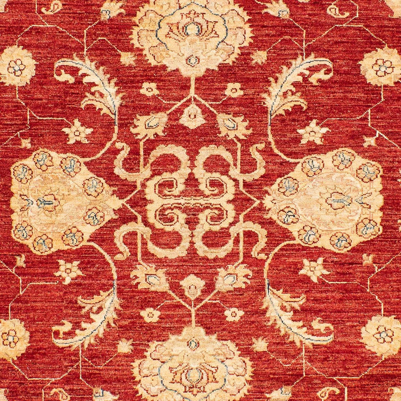 Ziegler Teppe 222x174cm - Orientalsk teppe