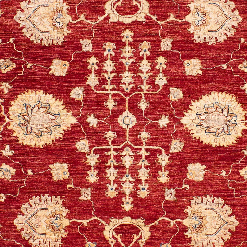 Ziegler Teppe 218x169cm - Orientalsk teppe