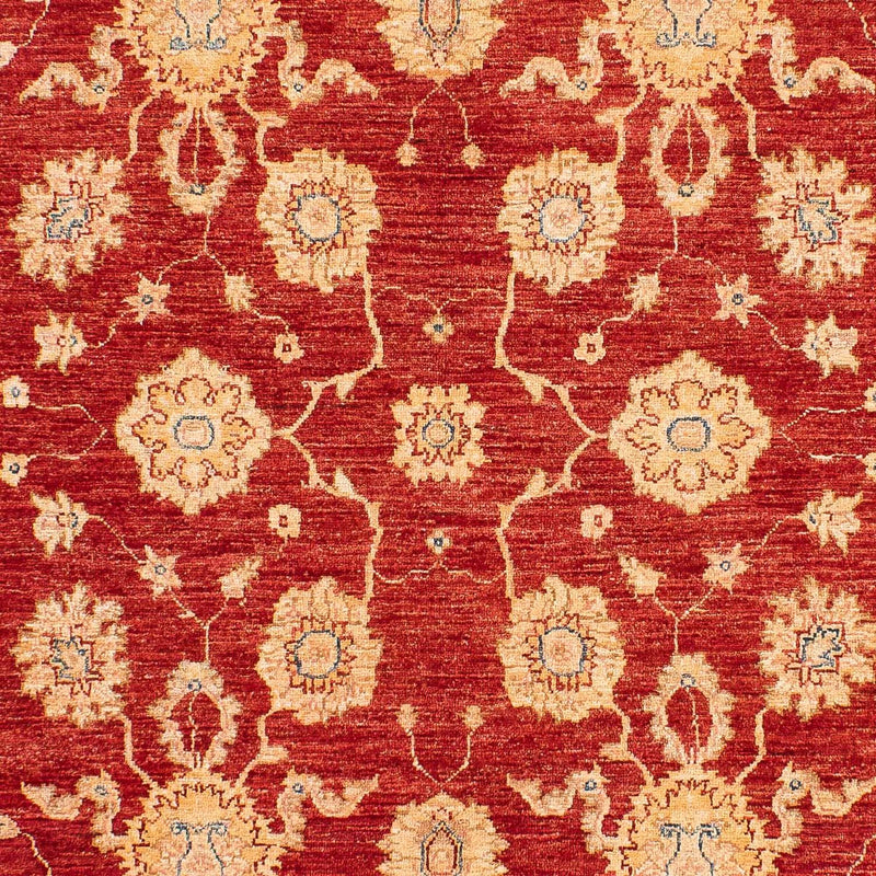 Ziegler Teppe 245x163cm - Orientalsk teppe