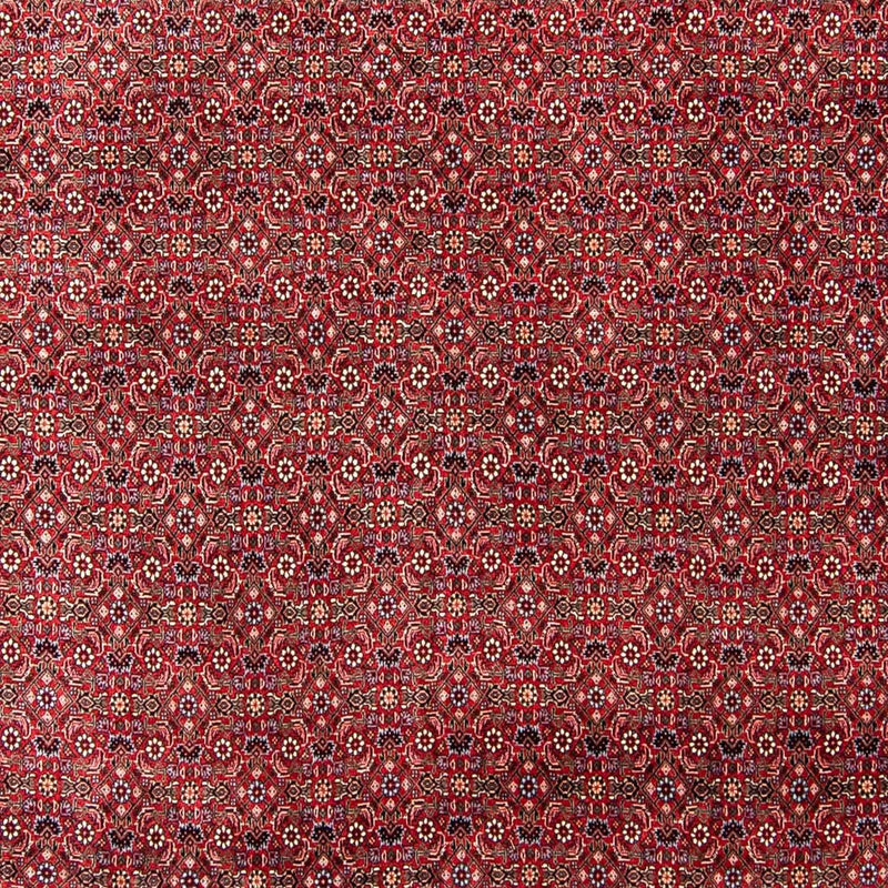 Bidjar Teppe 253x300cm - Persisk teppe