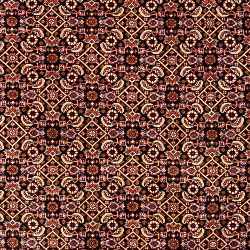 Bidjar - Takab Teppe 298x202cm - Persisk teppe
