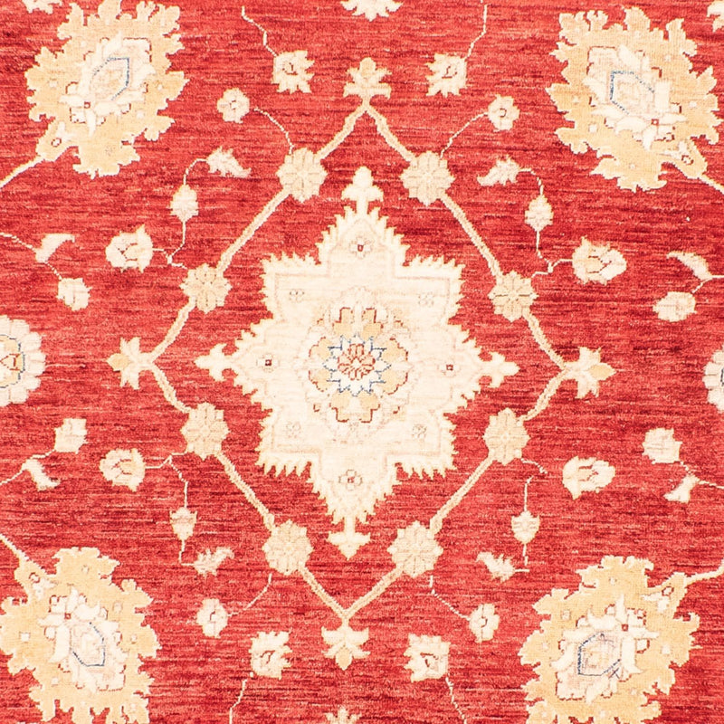 Ziegler Teppe 243x310cm - Orientalsk teppe