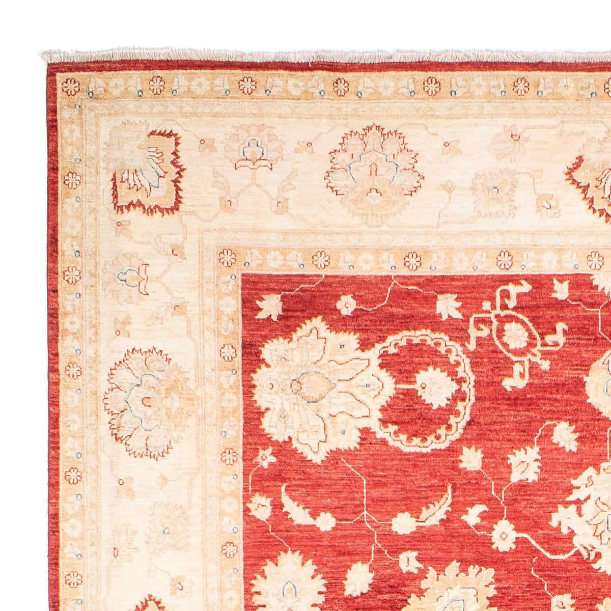 Ziegler Teppe 243x310cm - Orientalsk teppe
