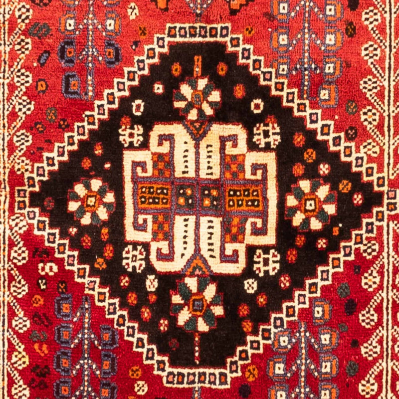 Shiraz Teppe 255x160cm - Persisk teppe