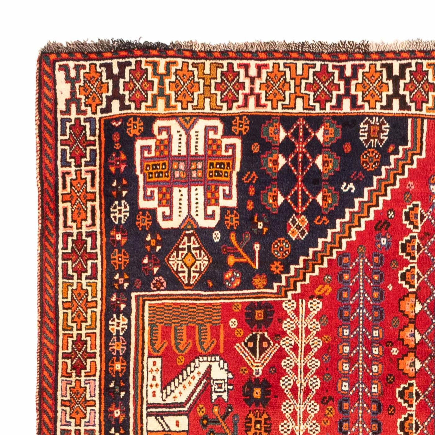 Shiraz Teppe 255x160cm - Persisk teppe