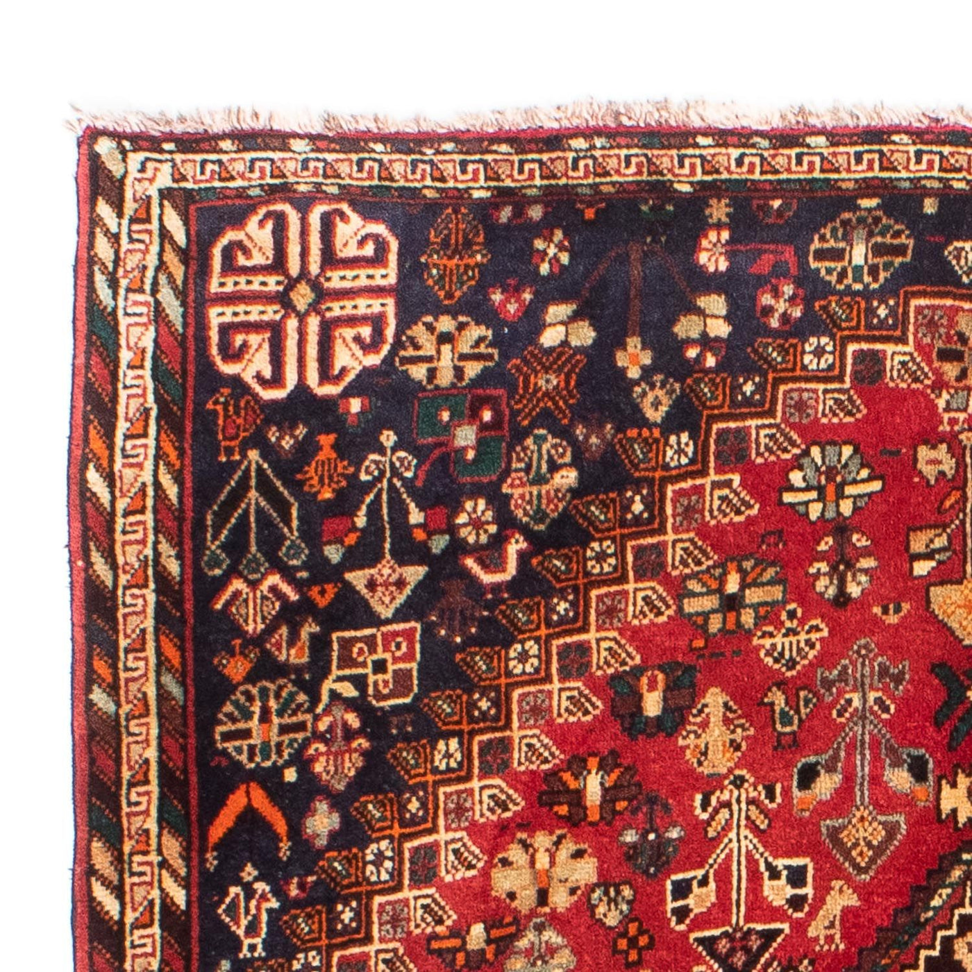 Shiraz Teppe 185x138cm - Persisk teppe