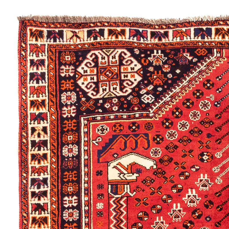 Shiraz Teppe 240x170cm - Persisk teppe