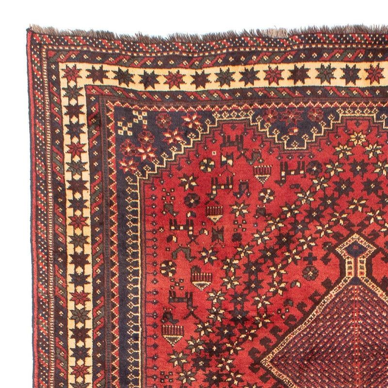 Shiraz Teppe 290x205cm - Persisk teppe